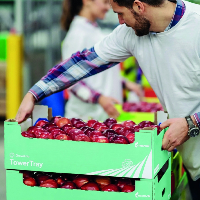 Taze Meyve Sebze Taşıma Çözümleri